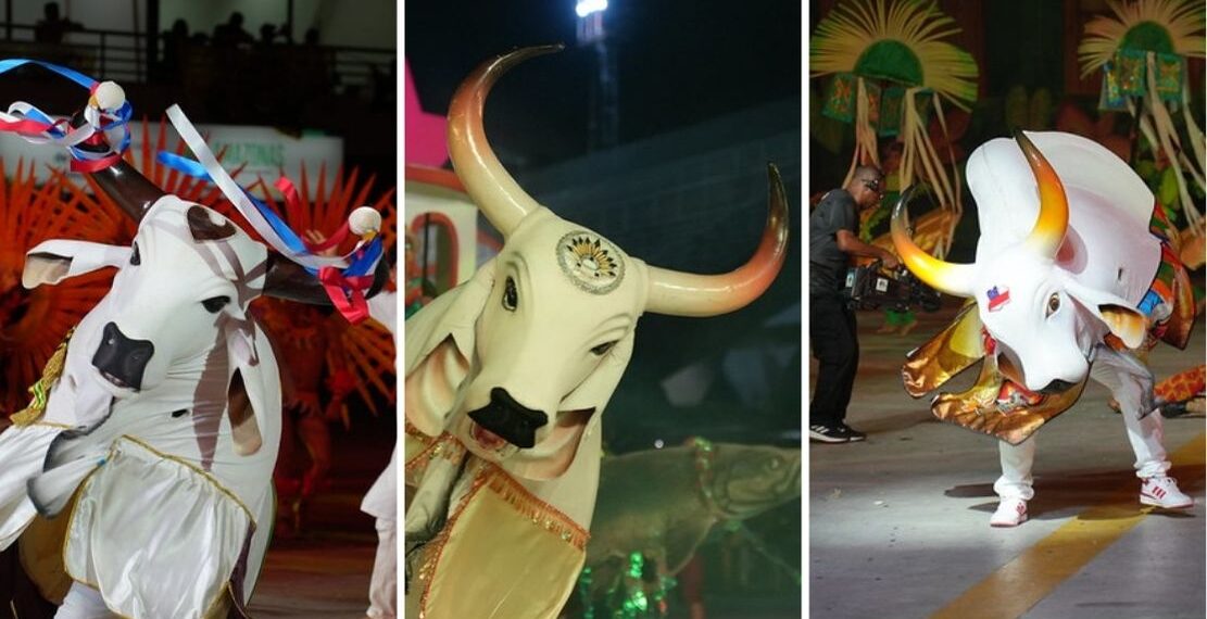 Festival Folclórico do Amazonas encerra penúltima noite com apresentações de bois-bumbás no Sambódromo
