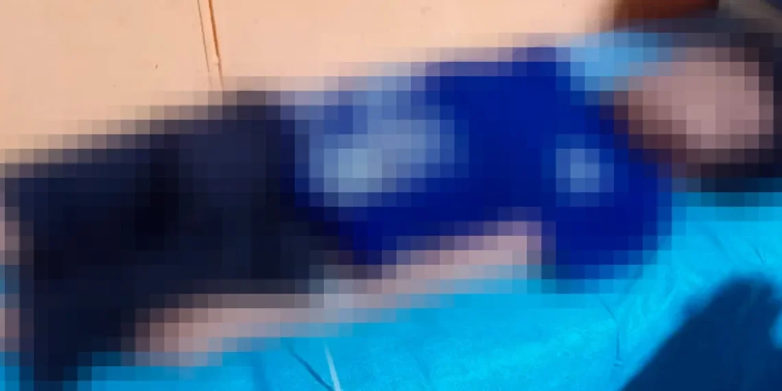Profissional de saúde denuncia colapso na Terra Yanomami da Venezuela e pede socorro urgente
