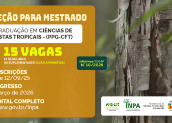 Inpa abre seleção para mestrado em Ciências de Florestas Tropicais com início em 2026