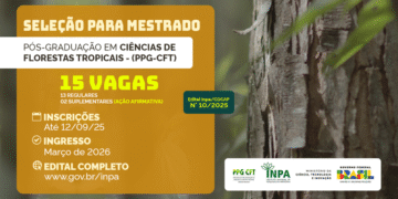 Inpa abre seleção para mestrado em Ciências de Florestas Tropicais com início em 2026
