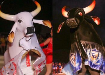 Manaus recebe espetáculo inédito dos Touros de Barreirinha no Largo de São Sebastião, neste sábado
