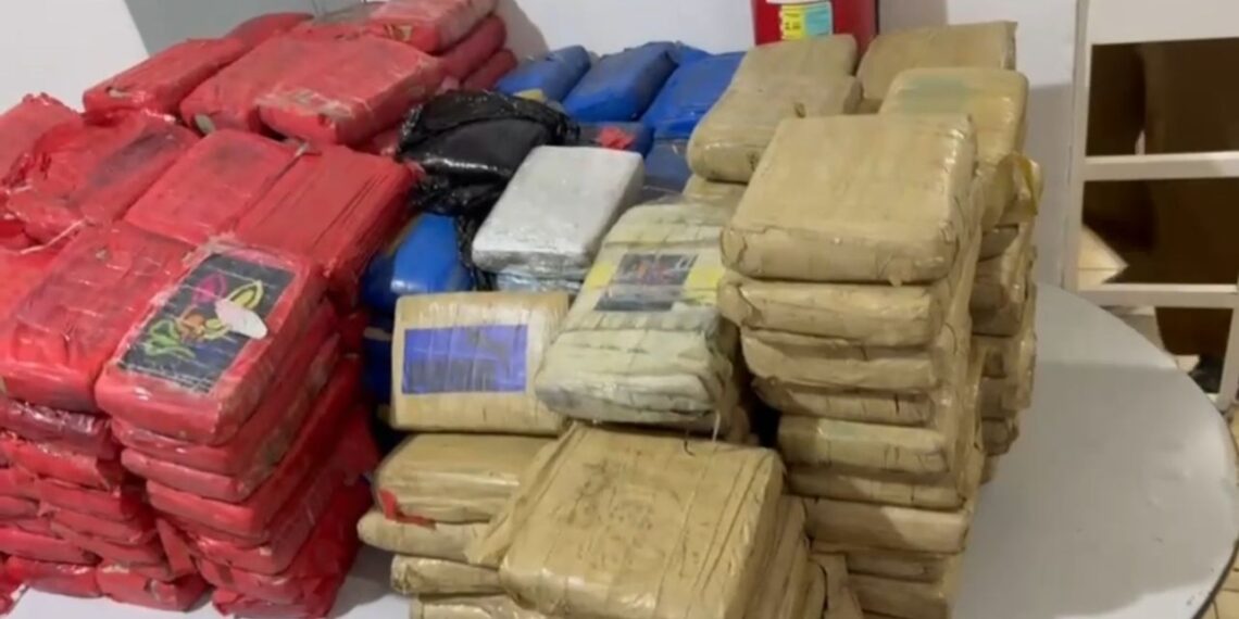 PC-AM apreende 250 kg de skunk e prende dois suspeitos em operação na zona leste de Manaus