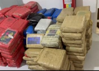 PC-AM apreende 250 kg de skunk e prende dois suspeitos em operação na zona leste de Manaus