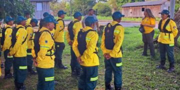 Amazonas reduz focos de incêndio em mais de 93% e vira referência nacional no combate ao fogo