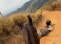 Cavalo mutilado em Bananal é enterrado após perícia da Polícia Civil