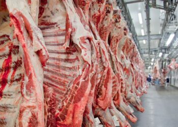Filipinas abrem mercado para carne bovina com osso e miúdos do Brasil