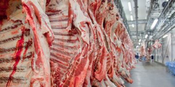 Filipinas abrem mercado para carne bovina com osso e miúdos do Brasil