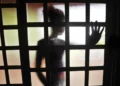 Seis estados da Amazônia Legal lideram índices de violência sexual contra crianças e adolescentes