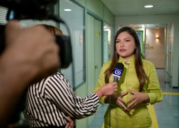 Deputada Joana Darc propõe fraldários acessíveis em espaços de grande circulação no AM