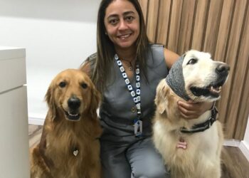 ‘Setembro Lilás’: mês de conscientização e combate ao câncer em animais