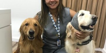 ‘Setembro Lilás’: mês de conscientização e combate ao câncer em animais