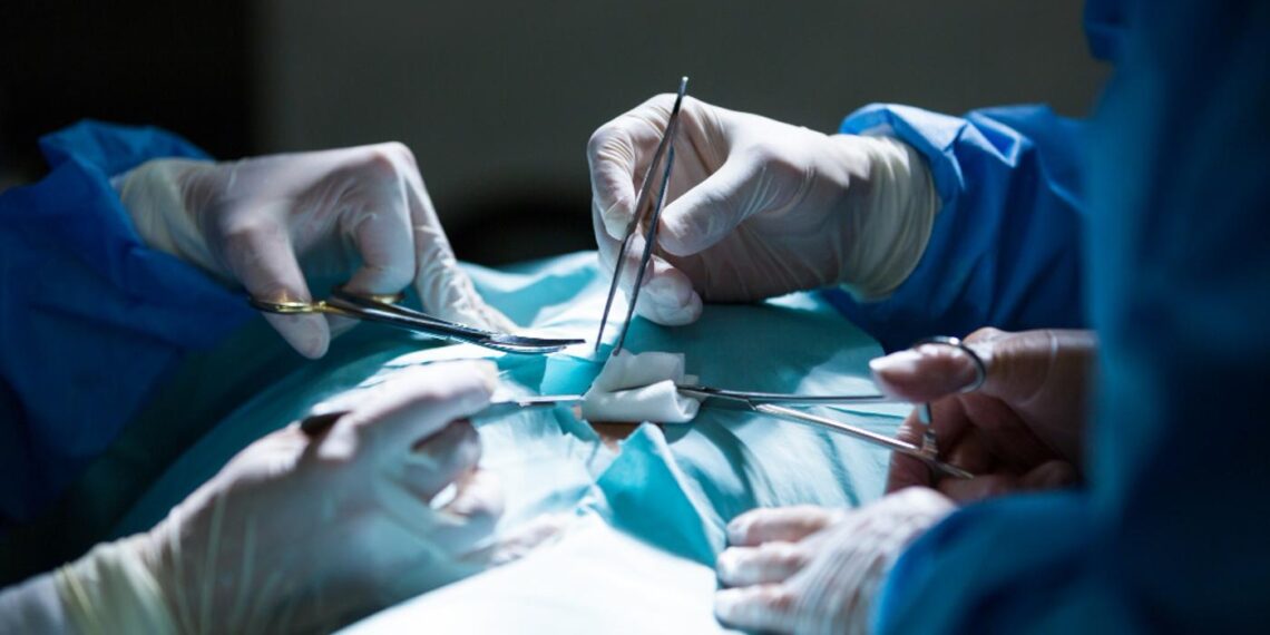 Mais de 2,3 mil pessoas esperam por transplante de fígado no Brasil; homens de 50 a 64 anos lideram fila