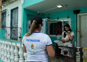 Prefeitura de Manaus intensifica vacinação antirrábica com meta de imunizar mais de 280 mil cães e gatos