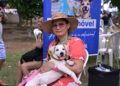 Sepet-AM realiza agendamento para castração gratuita de cães e gatos na zona leste de Manaus