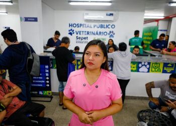 Hospital Público Veterinário do Amazonas segue com atendimentos clínicos e emergenciais