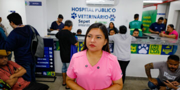 Hospital Público Veterinário do Amazonas segue com atendimentos clínicos e emergenciais