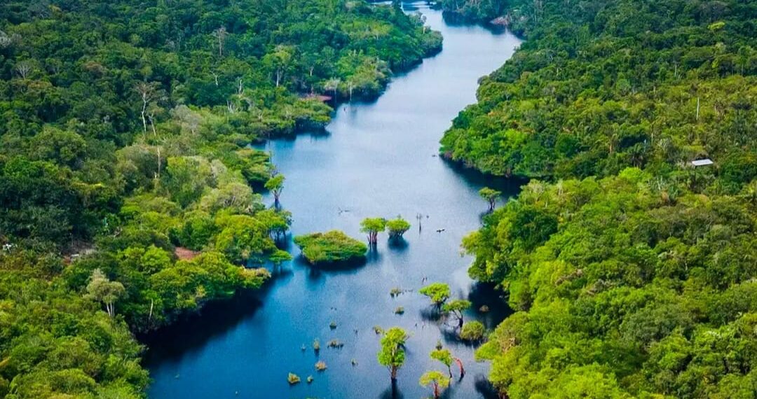 Amazonas registra menor número de focos de calor em setembro dos últimos 23 anos
