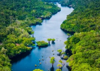 Amazonas registra menor número de focos de calor em setembro dos últimos 23 anos