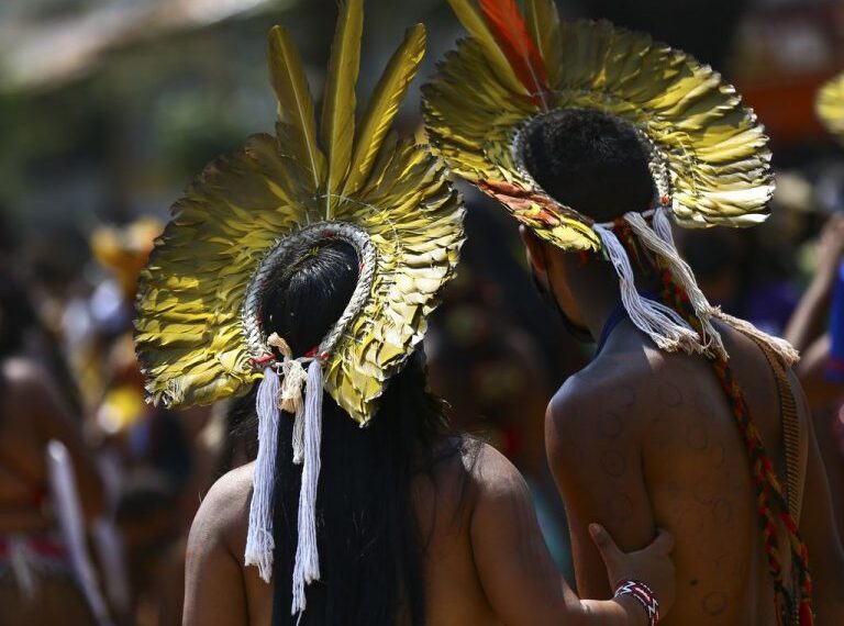 Câmara debate exclusão histórica e falta de acesso à justiça de comunidade Guarani no Rio