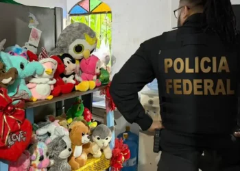 Polícia Federal realiza operação nacional contra crimes sexuais infantis na internet