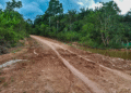 Pavimentação da BR-319 avança, mas especialistas alertam para riscos ambientais