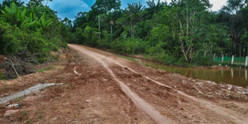 Pavimentação da BR-319 avança, mas especialistas alertam para riscos ambientais