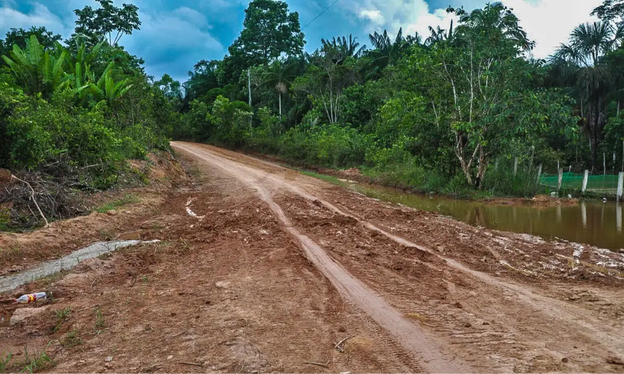Pavimentação da BR-319 avança, mas especialistas alertam para riscos ambientais