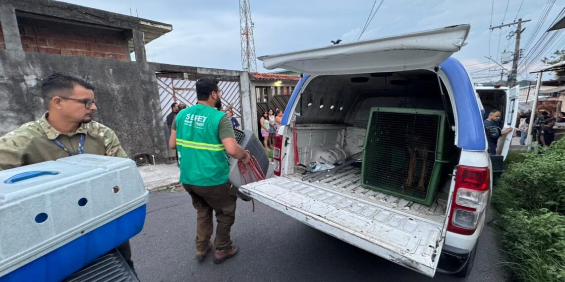 Sepet-AM resgata 24 cães vítimas de abandono extremo em casa no bairro Flores
