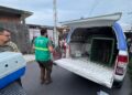 Sepet-AM resgata 24 cães vítimas de abandono extremo em casa no bairro Flores