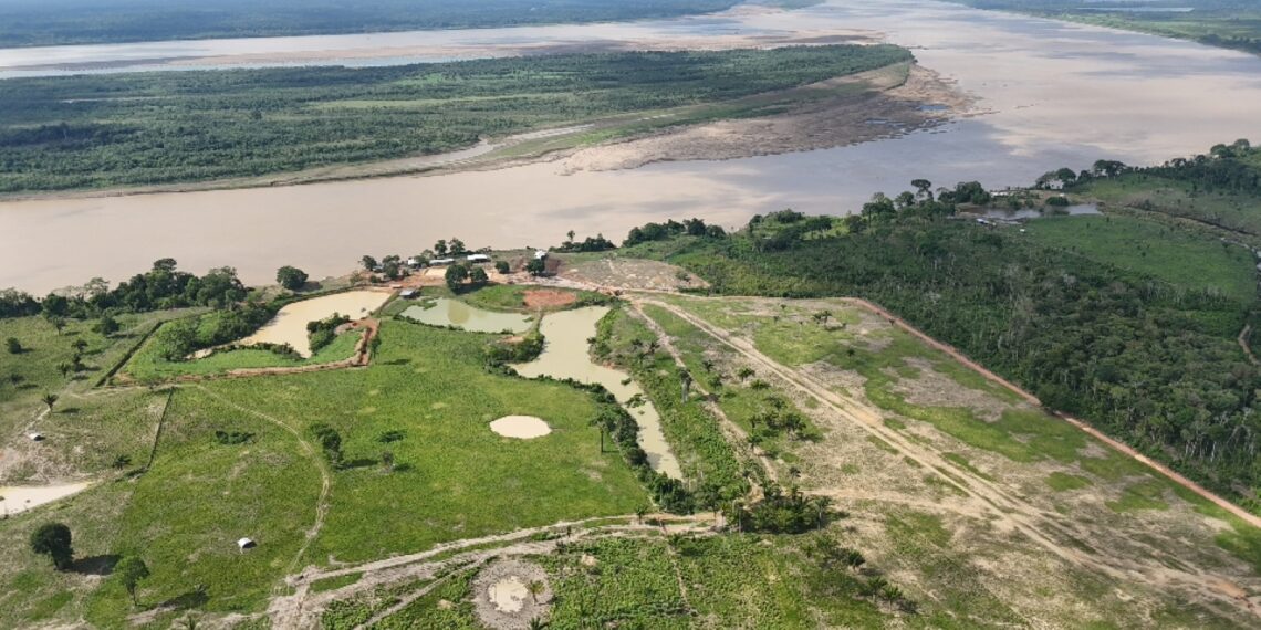 Ipaam aplica multa recorde de R$ 24 milhões por maior desmatamento do ano no Amazonas