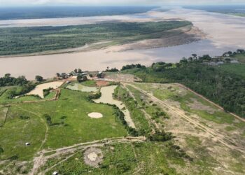 Ipaam aplica multa recorde de R$ 24 milhões por maior desmatamento do ano no Amazonas