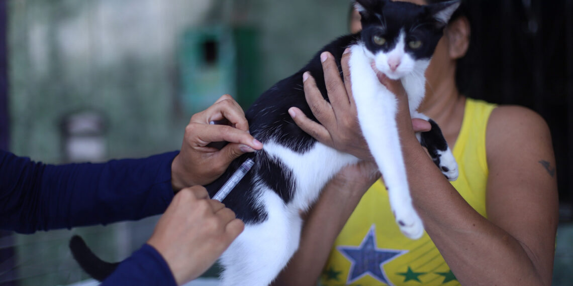 Prefeitura amplia vacinação antirrábica com 33 pontos fixos e visitas domiciliares em Manaus