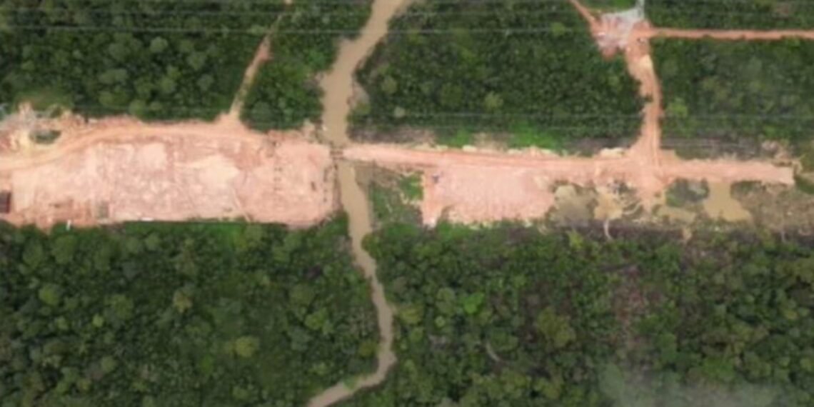 Trump acusa Brasil de destruir Amazônia para construir estrada antes da COP-30