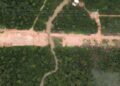 Trump acusa Brasil de destruir Amazônia para construir estrada antes da COP-30