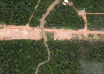 Trump acusa Brasil de destruir Amazônia para construir estrada antes da COP-30