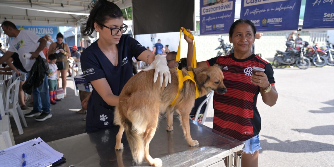 Sepet realiza agendamento para castração gratuita de cães e gatos no bairro Educandos