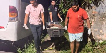 Mulher é encontrada morta sob micro-ônibus em Presidente Figueiredo