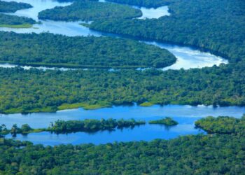 Amazonas registra menor número de focos de calor para novembro em quatro anos, aponta Ipaam