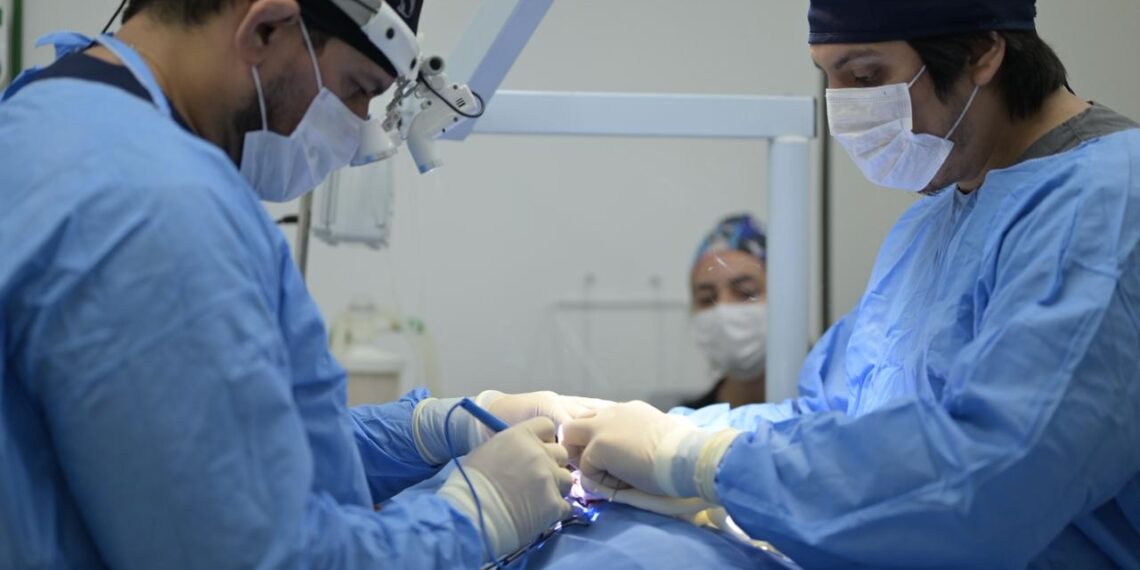 Hospital Veterinário Público do Amazonas ultrapassa 70 mil procedimentos em dois meses