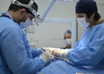 Hospital Veterinário Público do Amazonas ultrapassa 70 mil procedimentos em dois meses