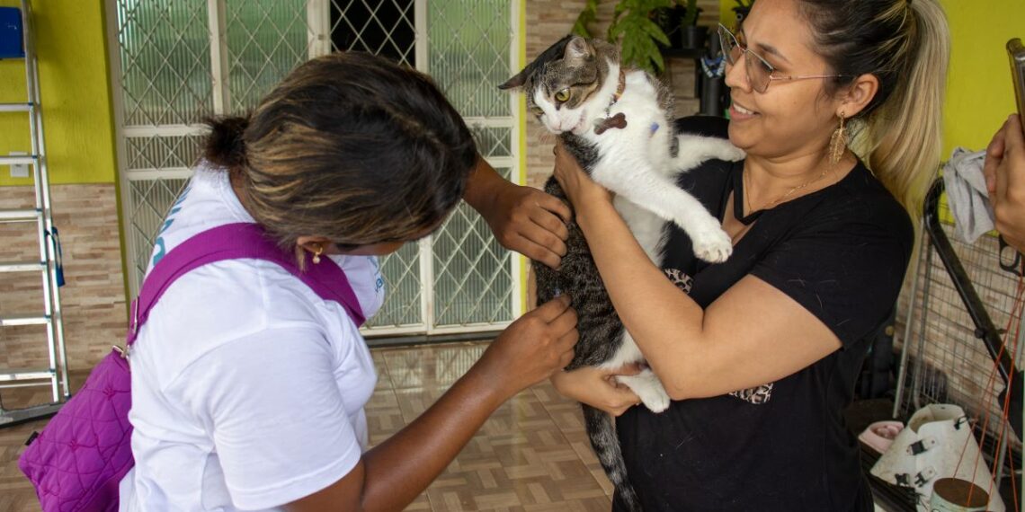 Prefeitura de Manaus oferece vacinação antirrábica em domicílio para protetores e abrigos de animais