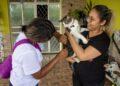 Prefeitura de Manaus oferece vacinação antirrábica em domicílio para protetores e abrigos de animais