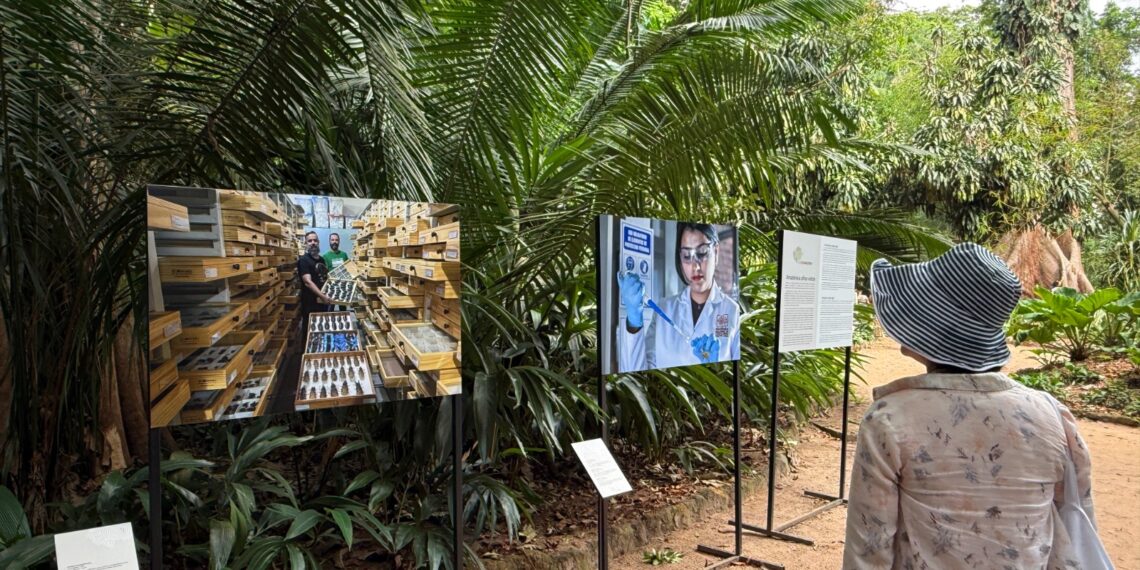 Exposição ‘Amazônia a Olhos Vistos’ chega a Manaus e convida público a refletir sobre ameaças ao bioma
