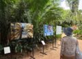 Exposição ‘Amazônia a Olhos Vistos’ chega a Manaus e convida público a refletir sobre ameaças ao bioma