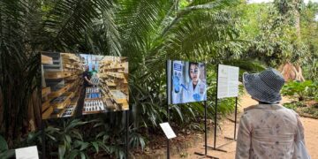Exposição ‘Amazônia a Olhos Vistos’ chega a Manaus e convida público a refletir sobre ameaças ao bioma
