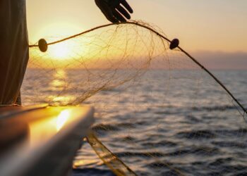 El Niño e La Niña alteram a pesca no Atlântico e exigem manejo local, aponta estudo na Nature