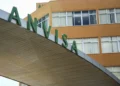 Anvisa manda recolher lote de chá de camomila após encontrar larvas e insetos