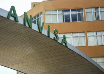 Anvisa manda recolher lote de chá de camomila após encontrar larvas e insetos