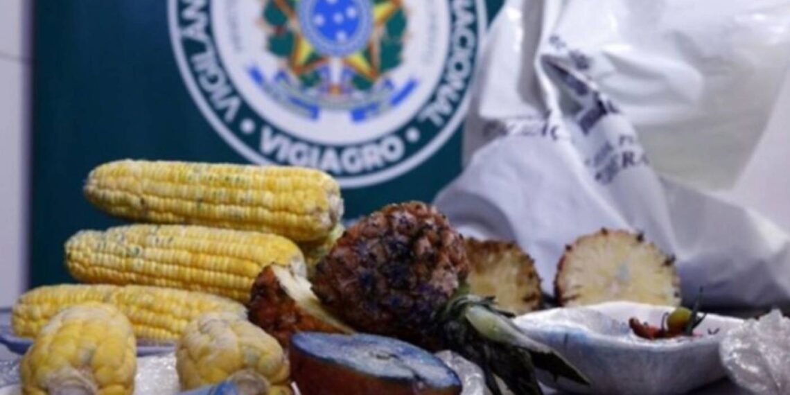Brasil reforça barreiras sanitárias contra pragas e doenças agropecuárias