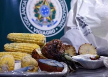 Brasil reforça barreiras sanitárias contra pragas e doenças agropecuárias